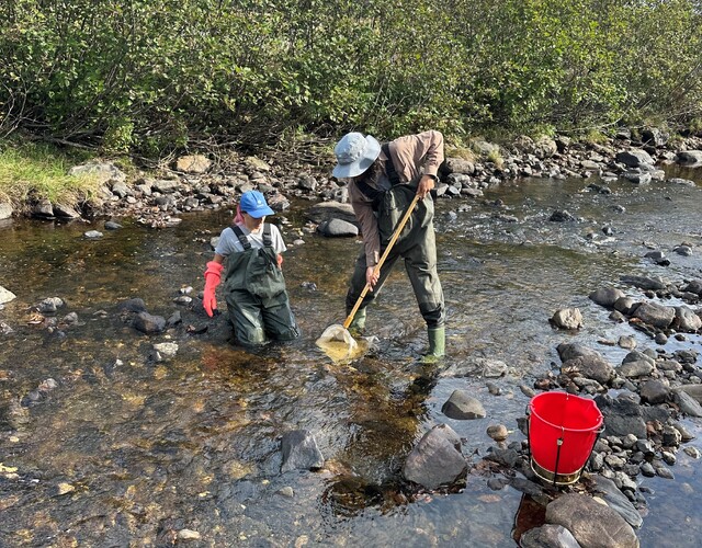 Appel de projets 2025 - 25 000 $ disponible pour l'amélioration de la qualité de l'eau